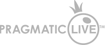 Partner Logo 8